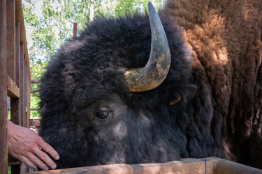 Similar image 22501544