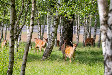 Similar image 22501545