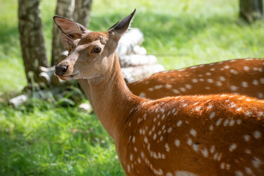 Similar image 22501546