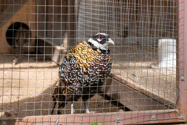 Similar image 22501557