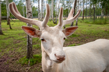 Similar image 22501559