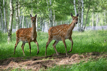 Similar image 22501561