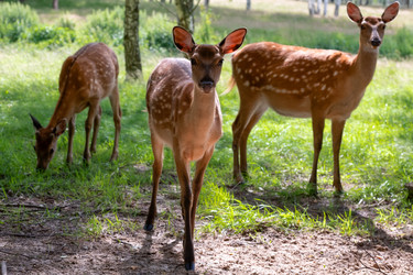 Similar image 22501563