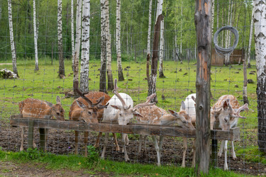 Similar image 22501573