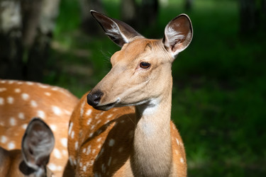 Similar image 22501574