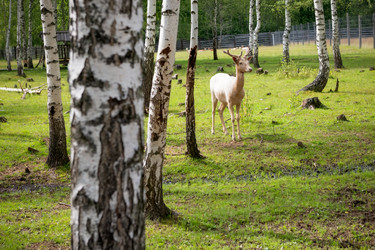 Similar image 22501576