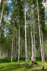 Similar image 22501577