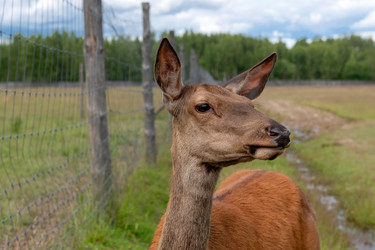 Similar image 22501578