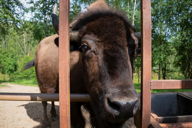 Similar image 22501588