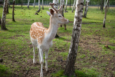 Similar image 22501589