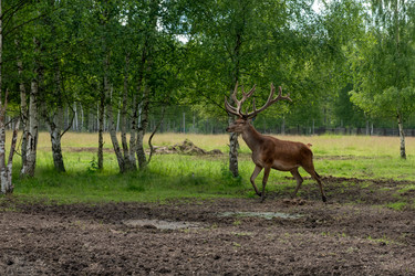 Similar image 22501590