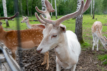 Similar image 22501591