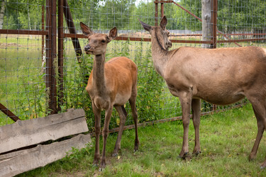 Similar image 22501592