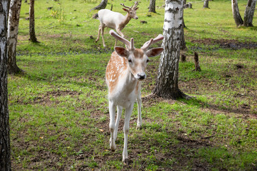 Similar image 22501593