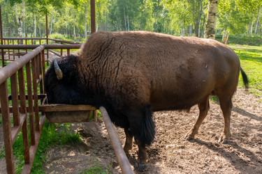 Similar image 22501594