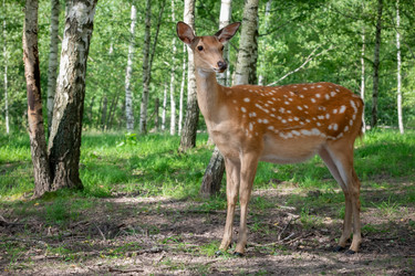 Similar image 22500962