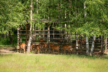 Similar image 22500963