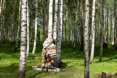 Similar image 22500964