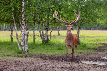 Similar image 22500966