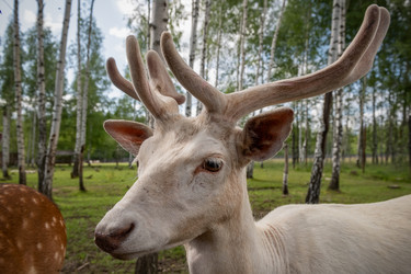 Similar image 22500967