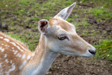 Similar image 22500968