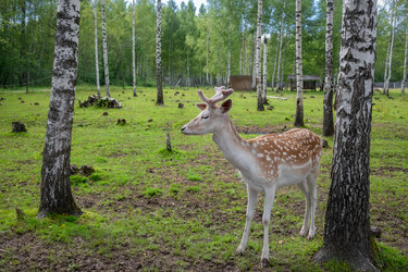 Similar image 22500969