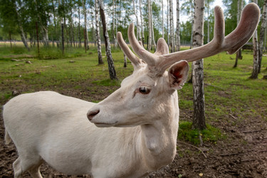 Similar image 22500991