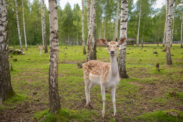 Similar image 22500995