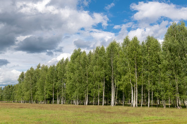 Similar image 22500996