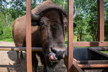 Similar image 22500997