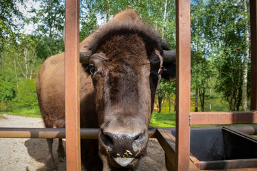 Similar image 22500998