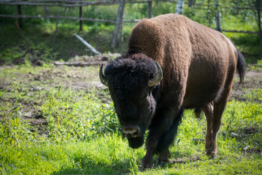 Similar image 22501008