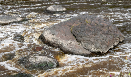 Similar image 22501010