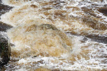 Similar image 22501011