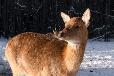 Similar image 22562909