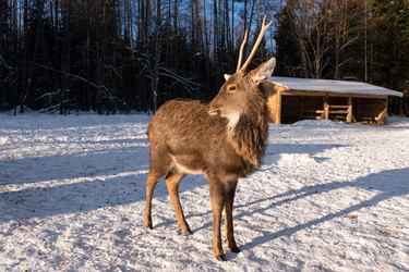 Similar image 22562910