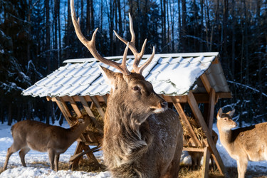 Similar image 22562924