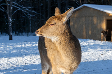 Similar image 22562925