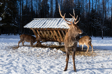 Similar image 22562913