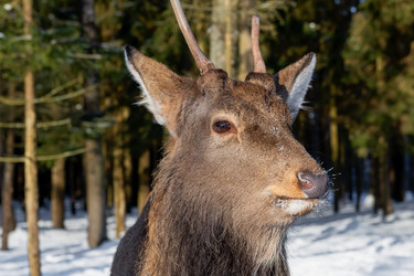 Similar image 22562914