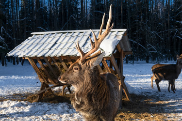 Similar image 22562915