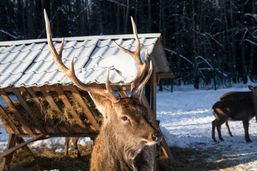 Similar image 22562916