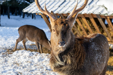 Similar image 22562917