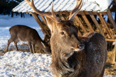 Similar image 22562918