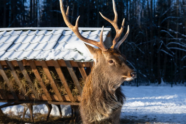 Similar image 22562919