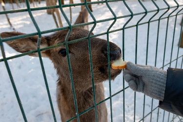 Similar image 22562920