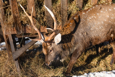 Similar image 22562921