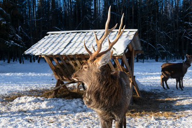 Similar image 22562922