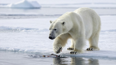 Similar image 22497988