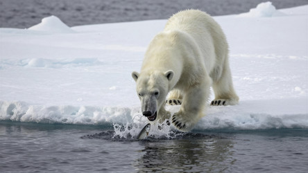 Similar image 22497990